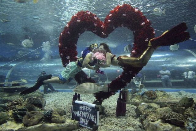 Morning Picdump