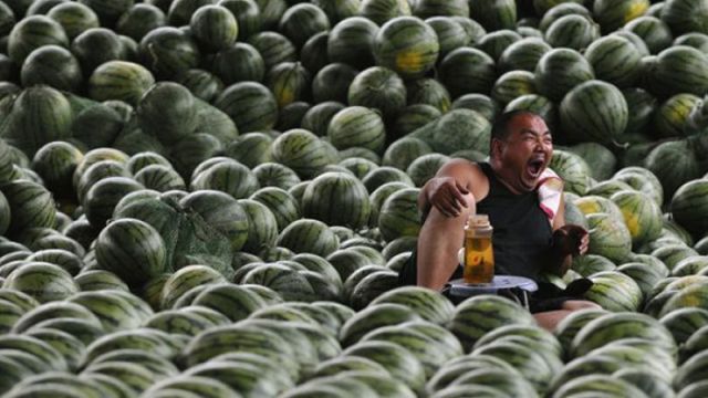 Morning Picdump