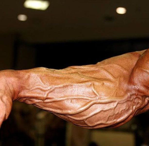 Big Muscle Nerds