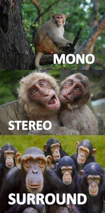 Morning Picdump