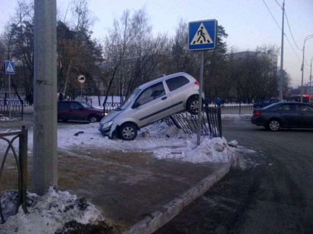 Morning Picdump