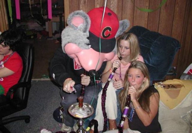 Morning Picdump