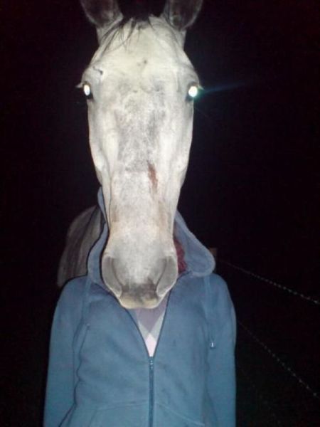 Daily Picdump