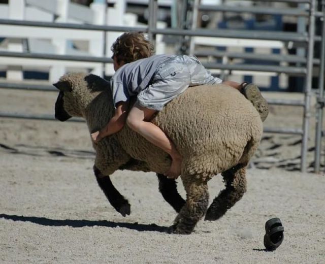 Morning Picdump