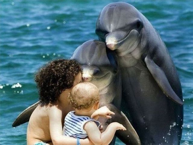 Morning Picdump