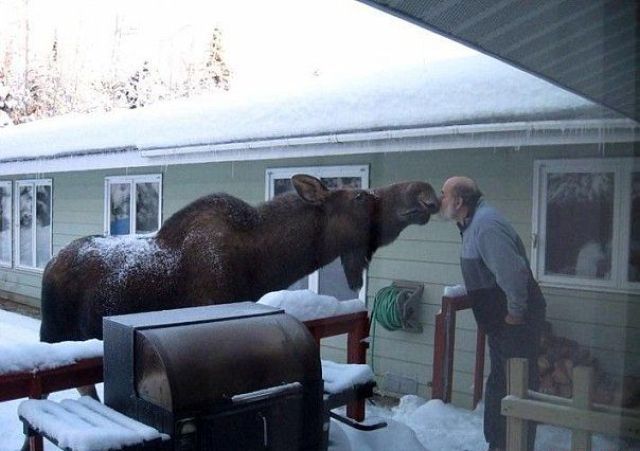 Content Image