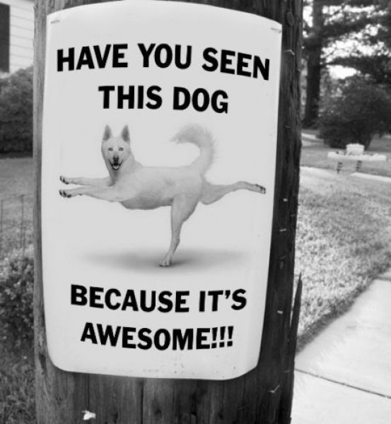 Morning Picdump