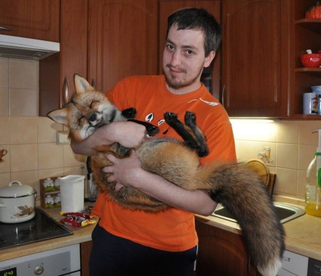 Content Image