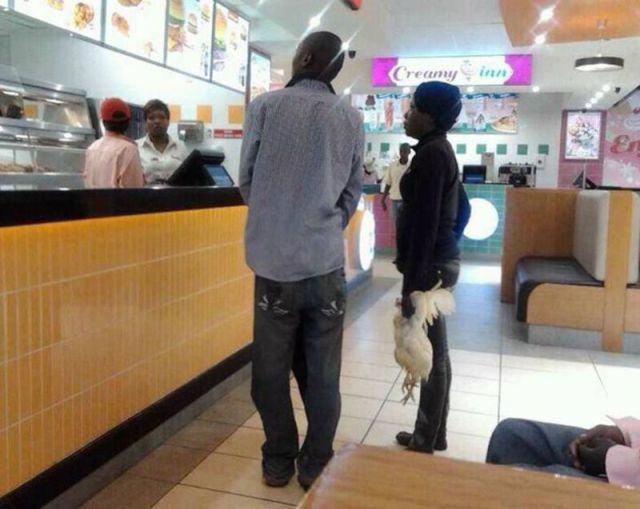 Morning Picdump