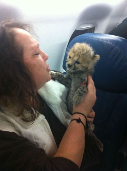 Morning Picdump