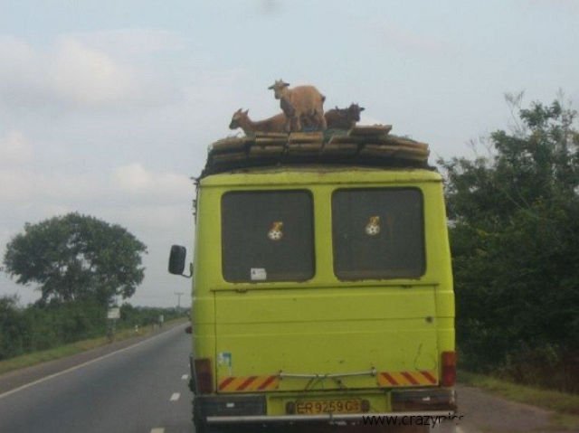 Africa Is Unique