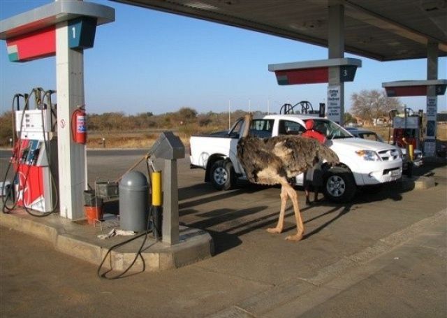Africa Is Unique