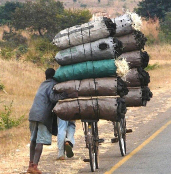 Africa Is Unique