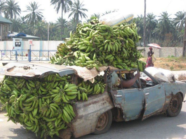Africa Is Unique