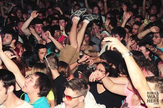 Party Till You Drop