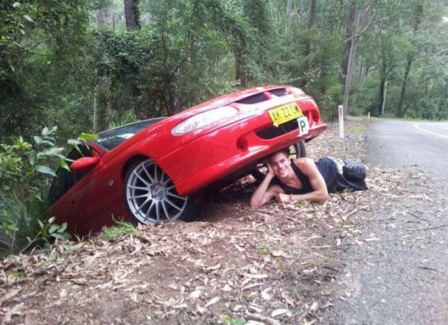 Morning Picdump