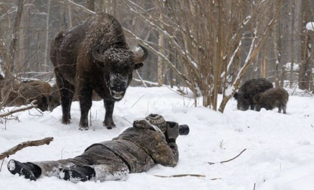 Morning Picdump