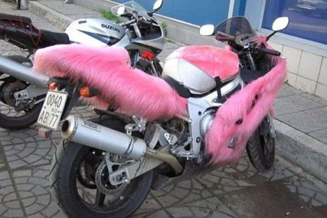 Morning Picdump