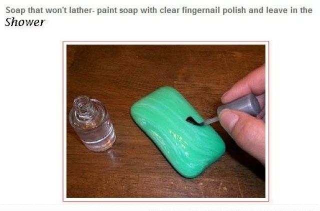 Daily Picdump