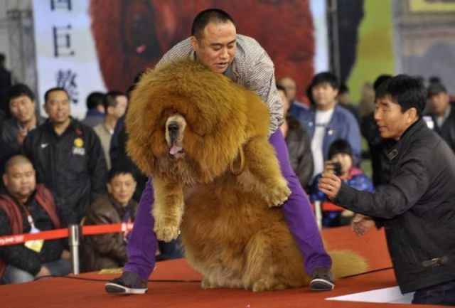 Daily Picdump