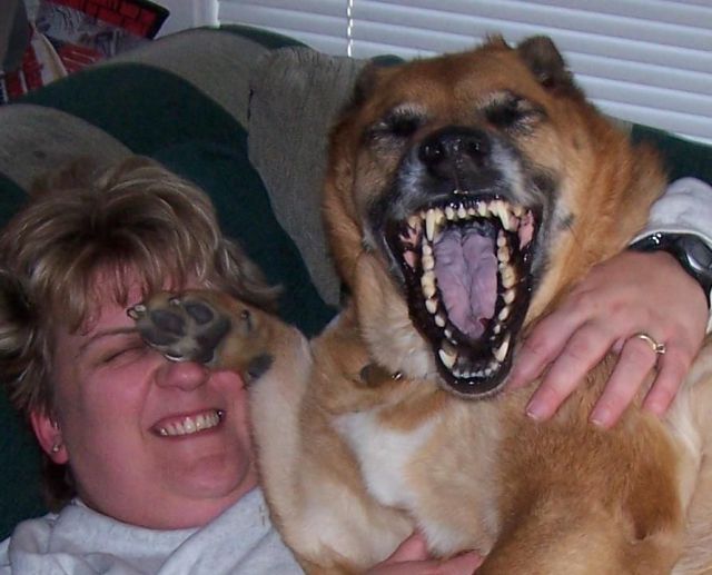 Daily Picdump