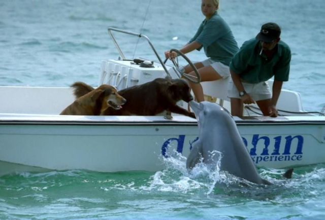 Daily Picdump