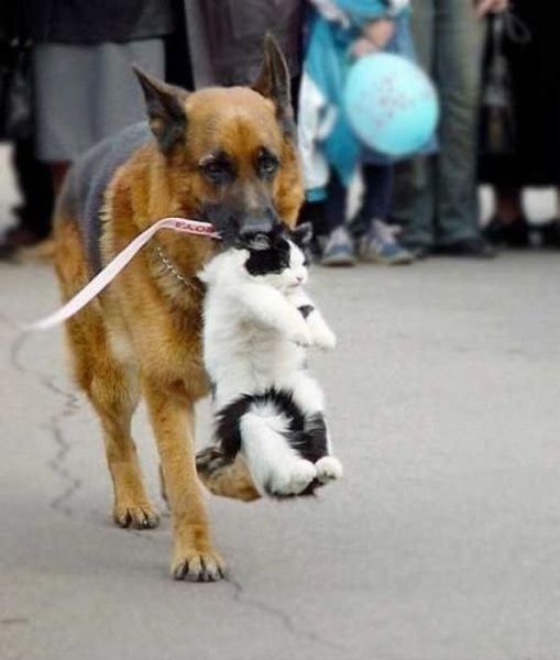 Daily Picdump