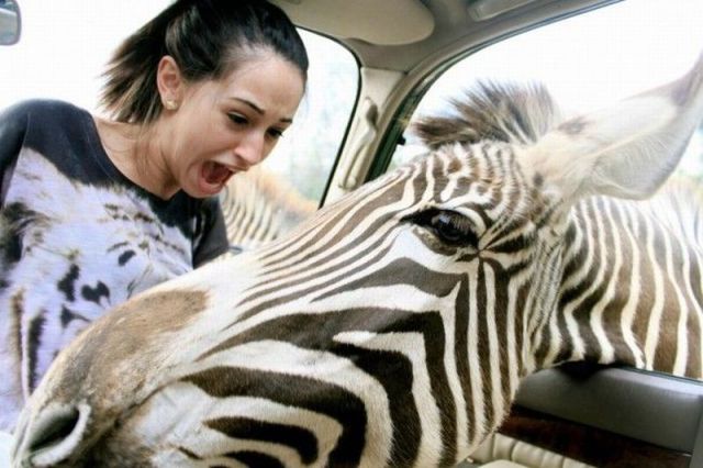 Daily Picdump