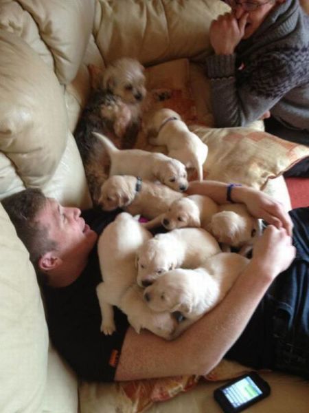 Daily Picdump