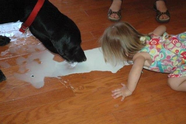 Daily Picdump