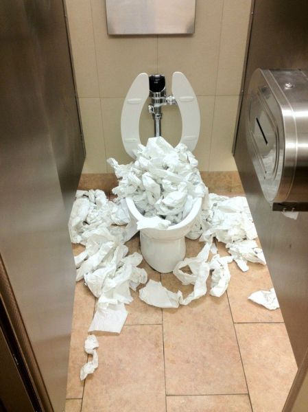 Daily Picdump
