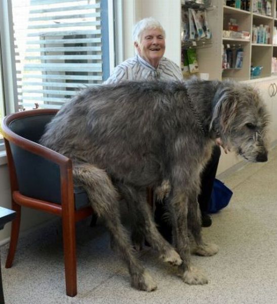 Daily Picdump