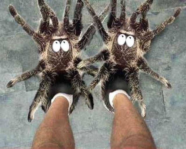 Daily Picdump