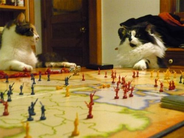 Daily Picdump