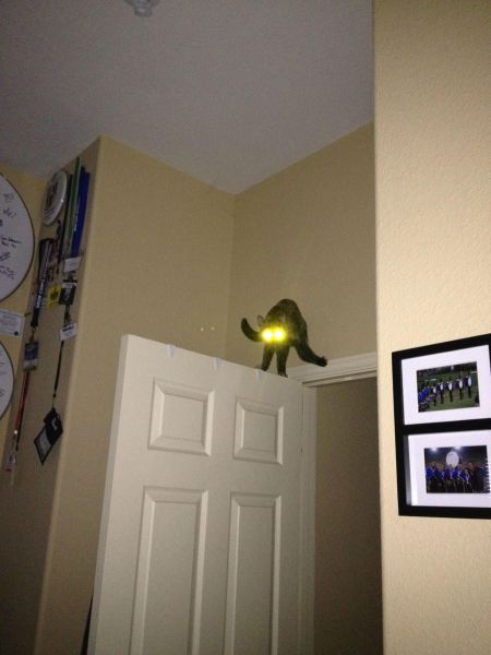 Content Image