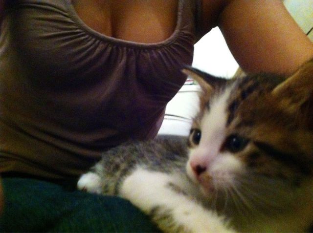 Content Image