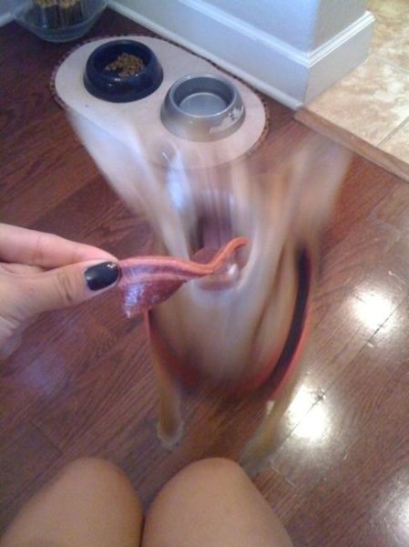 Content Image