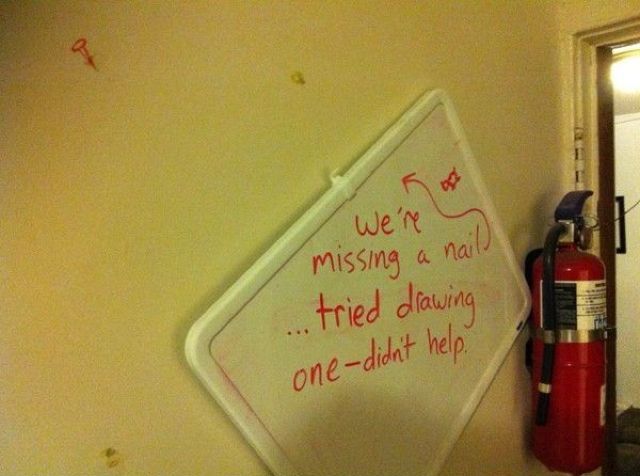 Morning Picdump