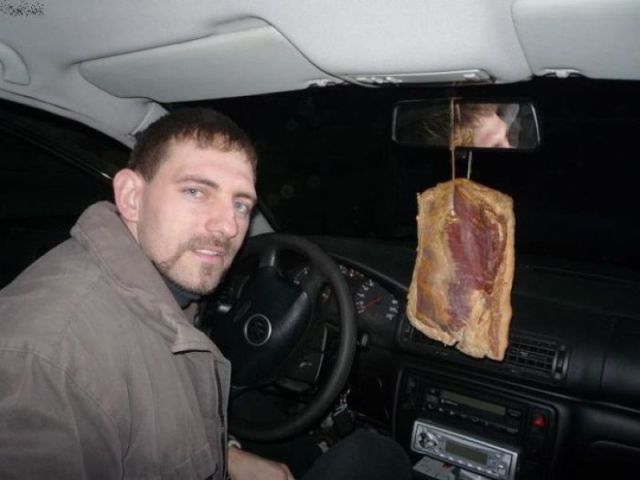 Morning Picdump