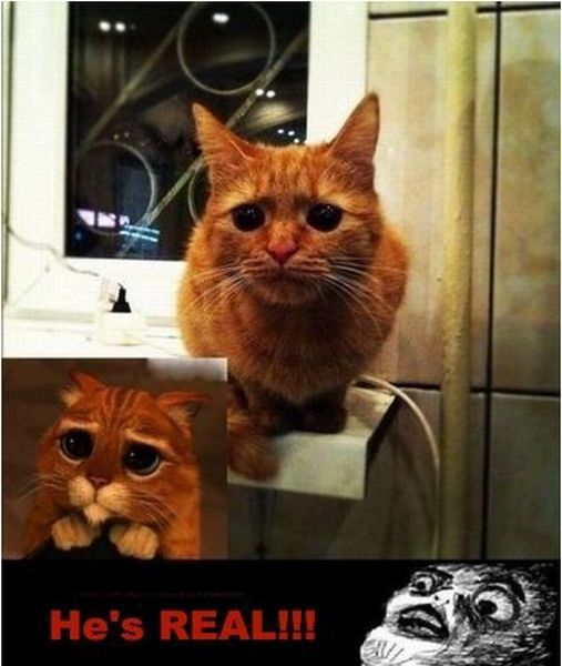 Morning Picdump