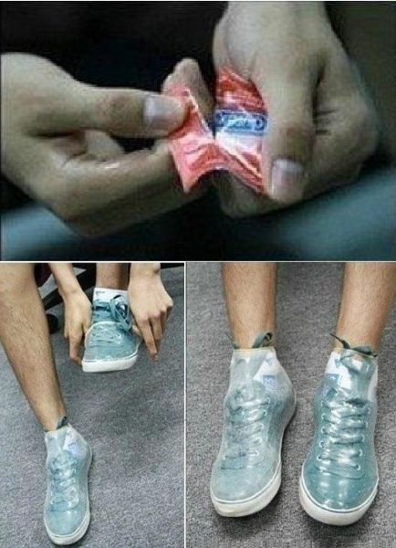 Morning Picdump