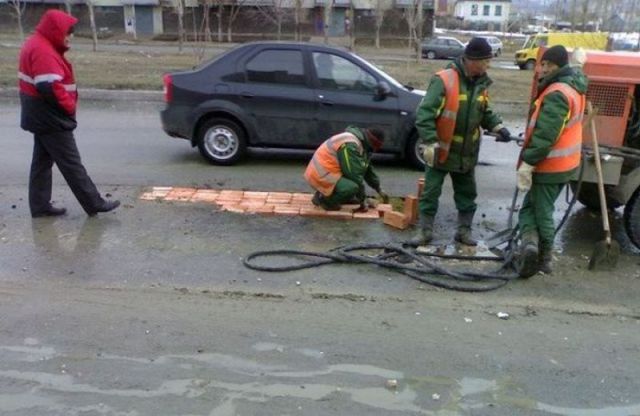 Morning Picdump