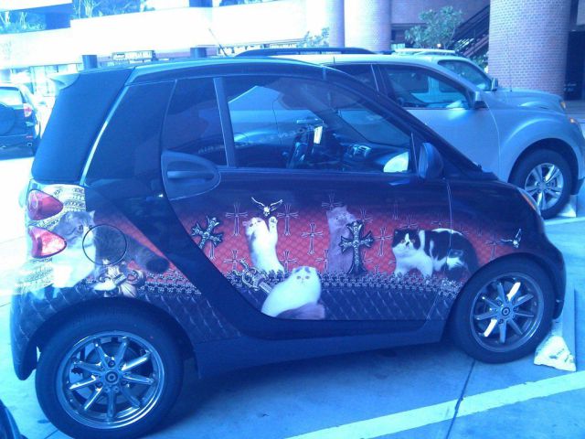 Morning Picdump