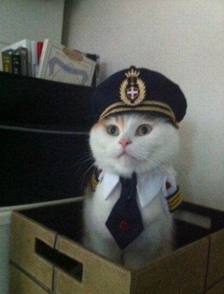 Morning Picdump