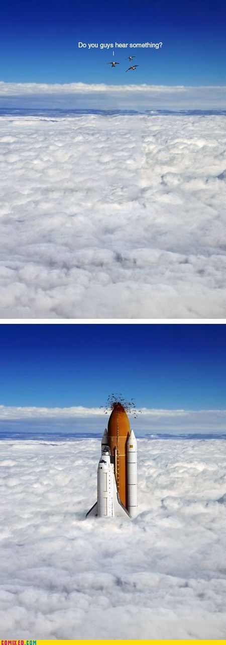Funny Picdump