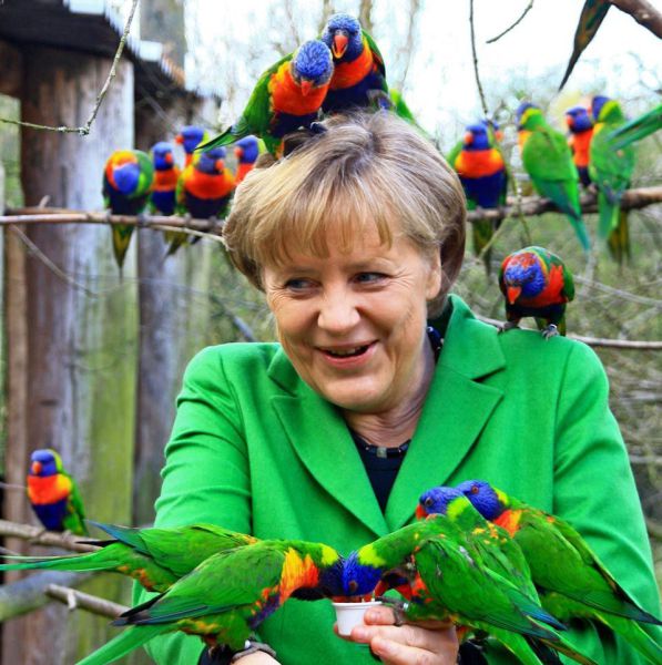 Morning Picdump