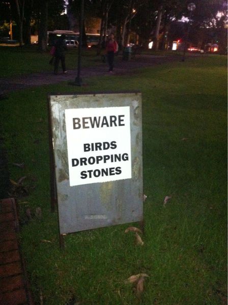 Content Image