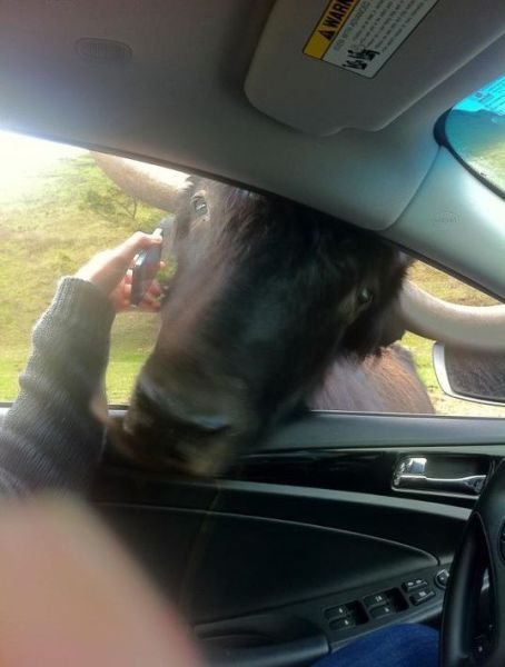 Morning Picdump