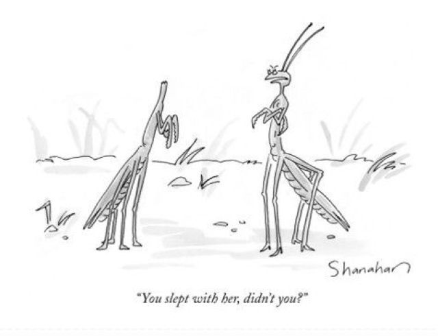 Morning Picdump