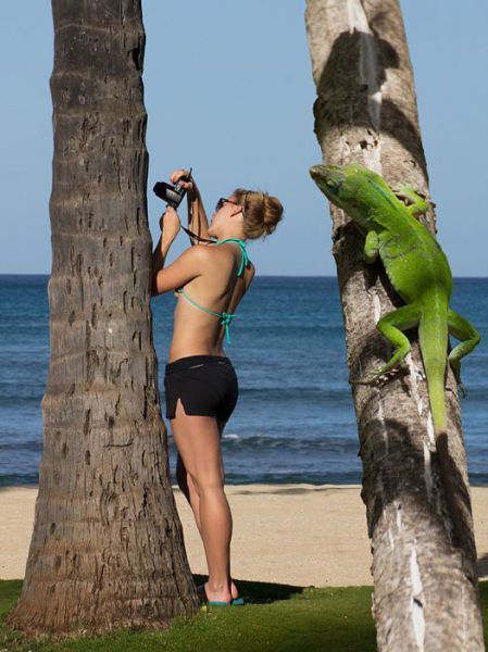 Morning Picdump